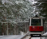 Und tschüss!

Fahrzeug 110 der Straßenbahn in Daugavpils kehrt kommt von ihrer Endhaltestelle Stropi zurück und macht sich auf den Weg nach Cietoksnis. 28.12.2019, Vasarnīcu iela, Daugavpils