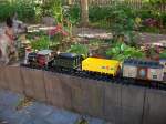 Mein Hund besch�tzt meine Gartenbahn.   ...