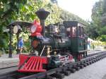 Meine kleine Feldbahndampflok  Olomana  ...  Maxim P. R. 20.08.2010