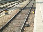 Lichtsignale Hier zwei, ich nehme mal an, Weichensperrsingnale im Bahnhof von Venlo. Das rechte gelbe wird in k�rze von einem triebzug der Baureihe 8400 auf dem Weg zur Bereitstellung �berfahren, w�hrend das rote Halt zeigt. gesehen am 15.5