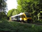 LINT Triebzug von Lokalbanen in der Wald von Gribskov (28/07/10) ...