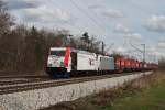 185 664 + 186 104 mit DGS 43136 (Winner KLV ...