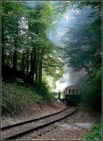 Stimmungsbild des Train 1900 im  Fuussbsch .