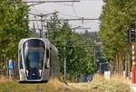 Der Urwald in Luxembourg-Kircherg - Am 02.08.2019 kmpft sich ein CAF Urbos von LUXTRAM S.A. durch das Dickicht der Vegetation im Gleisbett in der Avenue John F. Kennedy zwischen den Haltestelle Coque und Universitit/Universit. (Jeanny)