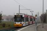 Deutschland - Mainz, (H) ...  Thomas Fehr 21.01.2012