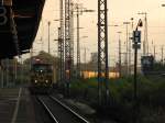 Morgenstimmung. MaK G 1206 ...  Peter Heck 30.08.2011