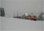 mariazellerbahn-st-polten---mariazell Die 1099 001 'St.P�lten' brachte am 7. Februar 2010 eine bunte Fuhrer, die aus dem Frankenfelser-, Mariazeller Advent- und dem Sparkassenwaggon bestand nach St.P�lten. Das Bild des R 6804 entstand zwischen Kirchberg an der Pielach und Schwerbach.