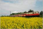 Die 1099.14 Nostalgie bespannte am 2.Mai 2010 den R 6813. ...