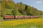 mariazellerbahn-st-polten---mariazell Die braune 1099 007 mit dem Mariazeller Wappen brachte am 28. April 2010 den REX 6810 nach St.P�lten. Ich fotografierte sie zwischen Steinklamm und Tradigist.