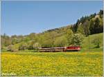 mariazellerbahn-st-polten---mariazell Die k�rzlich aus dem Ybbstal gekommene 2095 008 zog am 29.April 2010 den R 6833 von St.P�lten nach Laubenbachm�hle. Ich fotografierte sie zwischen Steinklamm und Tradigist.