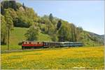 Die 1099 008 Berta mit dem Loicher Wappen bespannte am ...