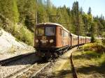 Der �tscherb�r nach einem ...  Michael Grinschgl 13.05.2012