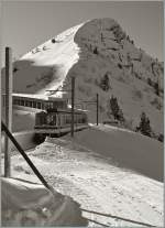 MGN Montreux - Glion - Rochers de Naye (44 Photos)