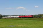 MEG 315 (92 80 ...  Tobias Schuminetz, Hirschau 06.06.2010