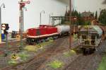 114 401-3 (Roco) mit Gz   ...