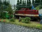 V100 025 (Brawa)   ...