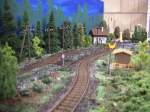Blick vom Anschlussgleis S�gewerk Richtung B�  ...