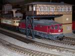 Roco`s 132 256 und Fleischmann`s 103 118 unterqueren auf meiner ...