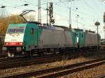 Dieses Cobra Doppel, 186 ...  Mario Sch�rholz 09.11.2009