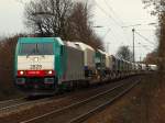 Die Cobra 186 221 ...  Mario Sch�rholz 25.11.2009