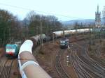 Blick durch ein Gewirr ...  Mario Sch�rholz 06.02.2010
