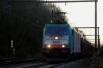 Die Cobra 2820 kommt ...  Stefan Hochstetter 19.11.2011