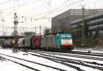 Die Cobra 2829 kommt bei Schnee mit einem gemischten ...