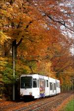 Tw 280 im Uhlenhorst (31. Oktober 2009)  ...