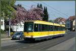 Tw 270 auf der Gro�enbaumer Stra�e (28. April 2010)  ...