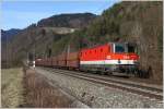 1144 255 f�hrt mit ...  Leitner Thomas 25.01.2011