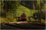 Im Abendlicht f�hrt 1116 ...  Leitner Thomas 07.09.2011