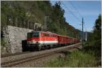 Mit dem Holzzug 55567 ...  Leitner Thomas 16.12.2011
