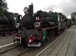 Px48 im Schmalspurbahnmuseum Gryfice ...  Dennis Jaroschek 02.09.2011