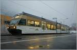 MVR Transports Montreux-Vevey-Riviera (185 Photos)
