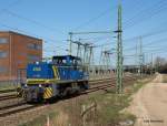 V 1001 der MWB hat einen Containerzug aus dem Rbf ...