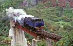 Nilgiri Mountain Railways 37 389  Coonoor River Bridge  12.04.96