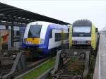 Zwei Z�ge der NordOstseeBahn (NOB) in Westerland(Sylt); 23.05.2010
  ...