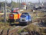 293 902 von Kleys ...  Marius S. 23.10.2011
