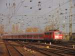Am 11.11.2009 zieht 111 ...  Philipp K 01.12.2009
