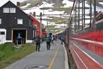 Am Bahnhof Finse verlassen viele Wanderer den REG 61 von Oslo, um in über 1200m Höhe die gewaltige Natur zu erleben.