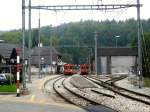 Z�ge 211-302 und 203-301 im nebligen St.Cergue, 30.September 2010.  ...