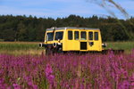 Ein gewaltiges Summen übertönt das knattern von X626.205 im Blumenfeld an der Stainzerbahn bei Neudorf.