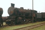 Im März 1975 waren schon vor Jahren ausgemusterte Dampfloklokomotiven in einer langen Reihe auf den Gleisen des Heizhauses Straßhof abgestellt, darunter auch diese ÖBB-38 (ex Südbahn Reihe 109)