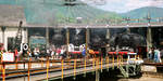 30.05.1993, „Dampflokfest in Selzthal“, Blick von der Drehscheibe auf den Schuppen, von links nach rechts präsentieren sich: 1042 044, 12.14, 01 533, 86 501 und 50 3519. 44 661 rollt auf die Drehscheibe.