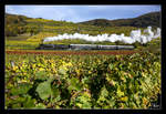 Golden Autumn - eine grandiose Herbststimmung bot sich uns am 28.10.2016 in der Wachau.
Das Tüpfelchen auf dem i, war die Strasshofer Dampflok 310.23, welche mit dem SDZ 17264 von Wien Heiligenstadt nach Spitz an der Donau unterwegs war. 
Weißenkirchen in der Wachau 