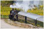 Die Strasshofer Dampflok 310.23 fährt mit dem SDZ 17264 von Wien Heiligenstadt nach Krems an der Donau. 
Dürnstein 28.10.2016