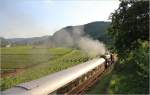 Nachschuss ins Gegenlicht: Zur Sonnwendfeier nach Spitz fhrt die 33 132 durch die Weingrten zwischen Drnstein und Weienkirchen. 23.6.12