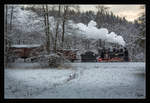 Winter Wonderland - Dampflok 764.411R der Stainzerbahn fährt mit einem Güterzug von Preding nach Stainz, aufgenommen in den Wäldern nahe Mannegg.