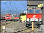 Bahnhof Alltag in Zeltweg !!
Zwei Hercules 2016 fahren mit einem Holzzug ins Lavanttal. Die Dieselloks 2143 044 + 2043 062 warten auf ihren nchsten Einsatz.
1.8.2007