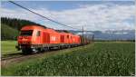 Die beiden Dieselloks 2016 055 + 054 ziehen den Holzzug 55555 von Zeltweg nach Frantschach. 
Eppenstein 21.6.2011